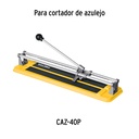 REP-CAZ-P+D1.jpg