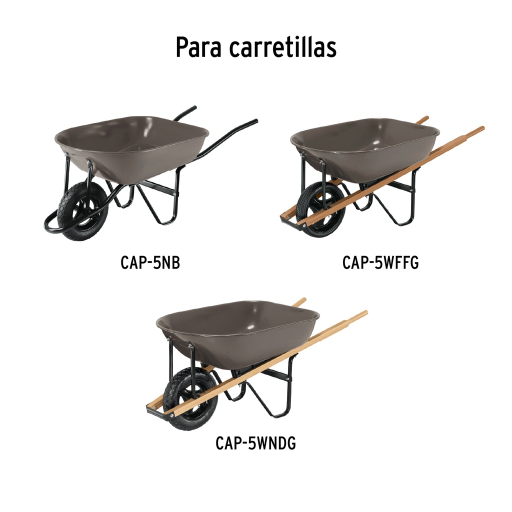 CO-5P+D2.jpg