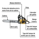 MOT-4520P+FC1.jpg