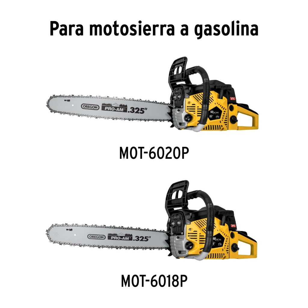 CB-MOT-GRUPO2+FC1.jpg