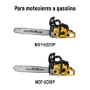 CB-MOT-GRUPO2+FC1.jpg