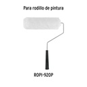 R-ROPI-920P+D1.jpg