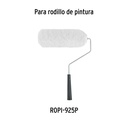 R-ROPI-925P+D1.jpg