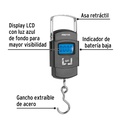 BASE-50CP+FC1.jpg