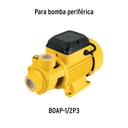 CJ-BOAP-1-2P3+D1.jpg