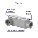 COLET-3-4-LR+FC1.jpg