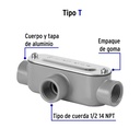 COLET-1-2-T+FC1.jpg