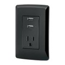COUSB-IN | Contacto aterrizado + 2 puertos USB, negro, línea Italiana