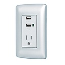COUSB-IP   | Contacto aterrizado + 2 puertos USB, plata, línea Italiana