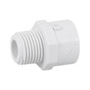 PVC-611 | Adaptador macho de PVC de 1/2', Foset